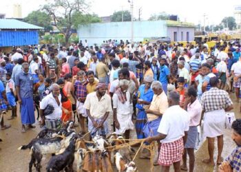 குடியாத்தம் பகுதியில் கால்நடை சந்தை அமைக்க விவசாயிகள் கோரிக்கை
