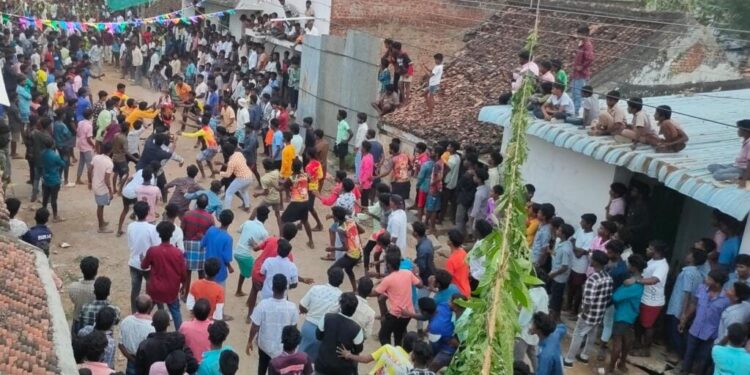 எருது விடும் விழா