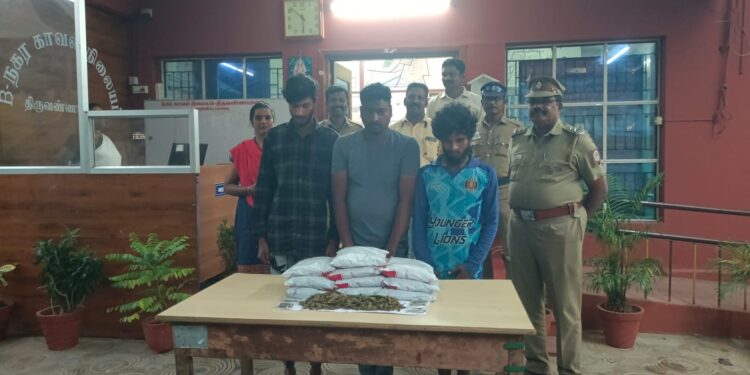 கஞ்சா விற்பனை 3 பேர் கைது.