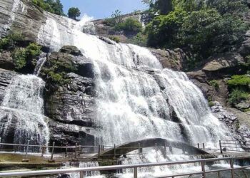 குற்றாலம் அருவிகளில் தண்ணீர் வரத்து அதிகரிப்பு