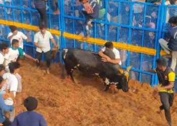 தச்சன் குறிச்சியில் மாநிலத்தின் முதல் ஜல்லிக்கட்டு 53 பேர் காயம்