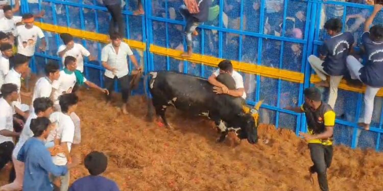 தச்சன் குறிச்சியில் மாநிலத்தின் முதல் ஜல்லிக்கட்டு 53 பேர் காயம்