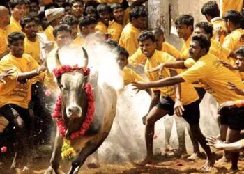 உலகப் புகழ் பெற்ற ஜல்லிக்கட்டுக்கு ரெடியா மக்களே