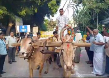 மாட்டுவண்டி ஓட்டிய கலெக்டர்