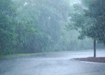 228.8 மி.மீ மழை பதிவு