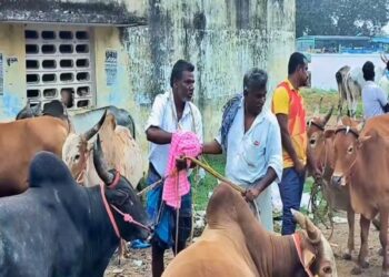 தேப்பனந்தல் வார சந்தையில் மாடுகள் விற்பனை அமோகம்