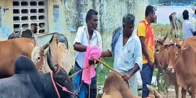 தேப்பனந்தல் வார சந்தையில் மாடுகள் விற்பனை அமோகம்