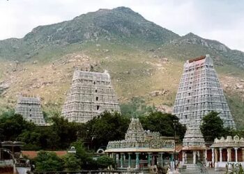 மகா தீப மலை மீது தடையை மீறி ஏறிய வெளிநாட்டினர்