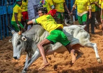 எருது விடும் விழா விண்ணப்பங்கள் வரவேற்பு