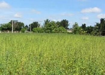 நாடழகானந்தல் கிராமத்தில் விவசாயிகளுக்கு மேலாண்மை பயிற்சி முகாம்