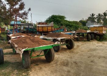 ஆற்றுப்படுகைகளில் மணல் திருடி வந்த 7 மாட்டு வண்டிகள் பறிமுதல்