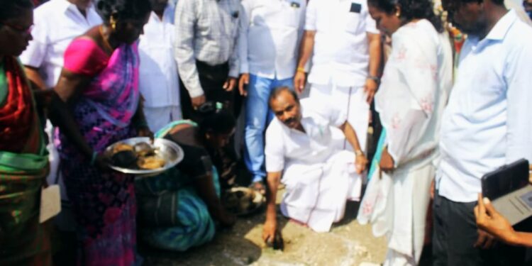 கடலூர் மாவட்டத்தில் 10 லட்சம் பனை விதைகள் நடவு துவங்கம்!