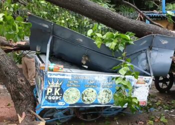 வேலூரில் மரம் விழுந்ததில் நசுங்கியது தள்ளுவண்டி கடை