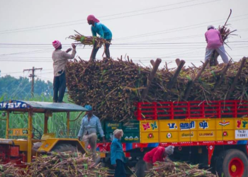 கரும்புக்கு சிறப்பு ஊக்கத் தொகை!
