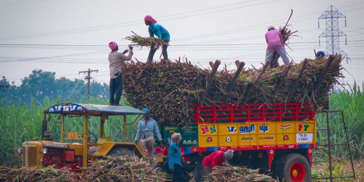 கரும்புக்கு சிறப்பு ஊக்கத் தொகை!