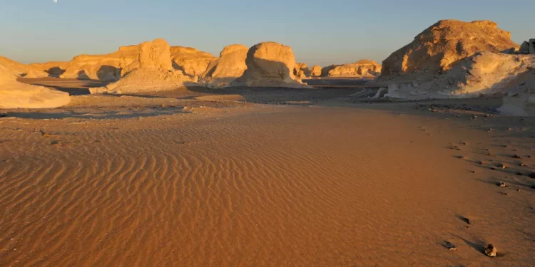 50 ஆண்டுகளில் சஹாரா சந்திக்காத மழை , வெள்ளத்தில் மிதக்கும் பாலைவனம்