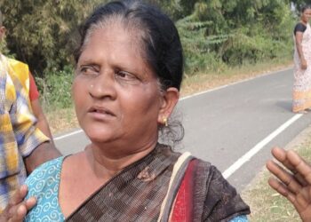 மாடு மேய்த்துக்கொண்டிருந்த பெண்ணிடம் 12 பவுன் நகை பறிப்பு