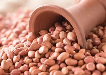 சட்ட விரோதமாக மணிலா விதைகளை விற்பனை செய்தால் கடும் நடவடிக்கை