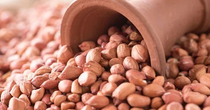 சட்ட விரோதமாக மணிலா விதைகளை விற்பனை செய்தால் கடும் நடவடிக்கை