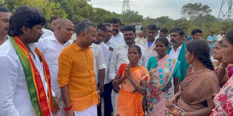 கடலூர் அருகே அழிக்கப்பட்ட முந்திரி மரங்களுக்கு இழப்பீடு வழங்க வேண்டும்- பாஜக மாநில செயலாளர்