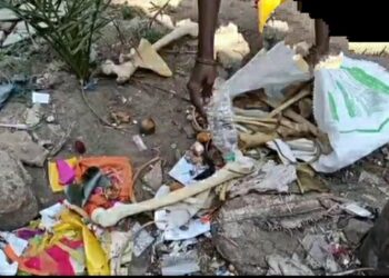 கடலூர் சாலை ஓரத்தில் கிடந்த மனித எலும்புகள் : போலீசார் தீவிர விசாரணை