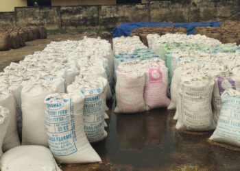 விருத்தாசலம் பகுதியில் திடீர் மழை: நெல் மூட்டைகள் நனைந்து சேதம்