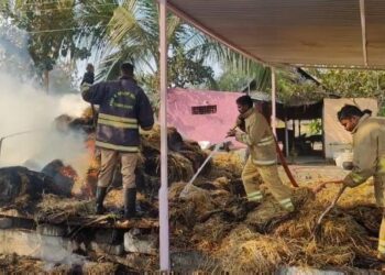 மின் கம்பி உரசி தீப்பற்றி எரிந்த வைக்கோல் கட்டுகள்