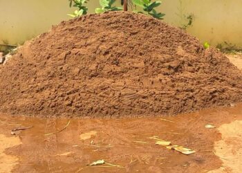 மணல் கொள்ளை ஜோர் கண்டுகொள்ளாத அரசு அதிகாரிகள்