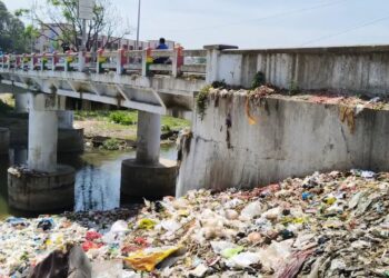 செங்கம்-செய்யாறு மேம்பாலம் கீழ் பகுதியில் குப்பை-இறைச்சி கழிவுகள்   