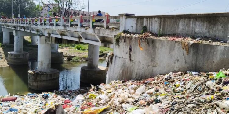 செங்கம்-செய்யாறு மேம்பாலம் கீழ் பகுதியில் குப்பை-இறைச்சி கழிவுகள்   