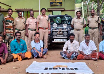 திண்டுக்கல் அருகே யானை தந்தம் விற்க முயற்சி: 7 பேர் கைது