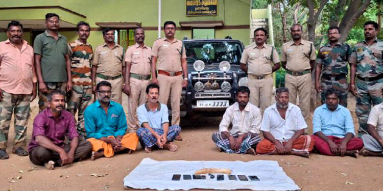 திண்டுக்கல் அருகே யானை தந்தம் விற்க முயற்சி: 7 பேர் கைது