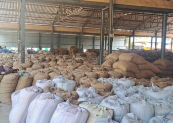 விருத்தாசலம் ஒழுங்குமுறை விற்பனை கூடத்தில் சம்பா நெல் வரத்து அதிகரிப்பு