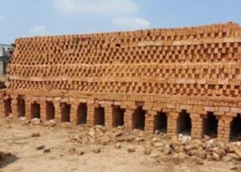 கடலூர் மாவட்டத்தில் அனுமதியின்றி செங்கல் சூளை நடத்தினால் கடும் நடவடிக்கை-  ஆட்சியர்