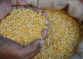 ரேஷன் துவரம் பருப்பில் கலப்படம் : மாநிலம் முழுதும் சோதனை நடத்த அரசு உத்தரவு