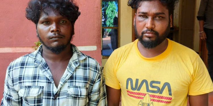 வேடசந்தூர் அருகே தாத்தா பாட்டியிடம் நகை கொள்ளை: பேரன் உள்ளிட்ட 2 பேர் கைது