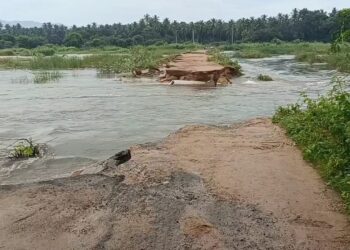 குடியாத்தம் அருகே மண் பாலம் துண்டிப்பு