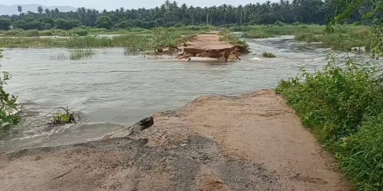 குடியாத்தம் அருகே மண் பாலம் துண்டிப்பு