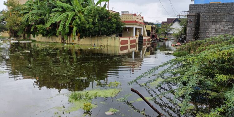 வேலூரில் மழை நீர் சூழ்ந்ததால் பள்ளிக்கு விடுமுறை