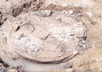 தென்பெண்ணை ஆற்றில் புதையுண்ட பழங்கால உறைகிணறு கண்டுபிடிப்பு