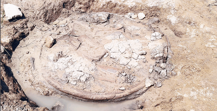 தென்பெண்ணை ஆற்றில் புதையுண்ட பழங்கால உறைகிணறு கண்டுபிடிப்பு