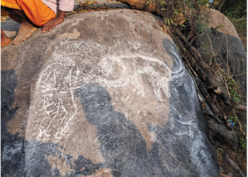 செஞ்சி அருகே 12-ம் நூற்றாண்டு மன்னர் காலத்து பாறைச்சிற்பம் கண்டுபிடிப்பு