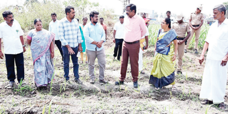 ‘உங்களைத் தேடி உங்கள் ஊரில்’ திட்டத்தில் தண்டராம்பட்டு வட்டத்தில் மாவட்ட ஆட்சியர் ஆய்வு