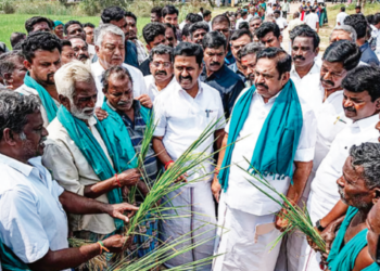 தாளடி நெற்பயிரை காப்பாற்ற மேட்டூரிலிருந்து 20 நாட்களுக்கு தண்ணீர் திறக்க எடப்பாடி பழனிசாமி வேண்டுகோள்